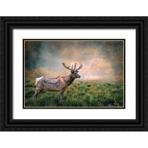 The Lone Leader Black Ornate Wood Framed Art Print with Double Matting by Parker, Kelley