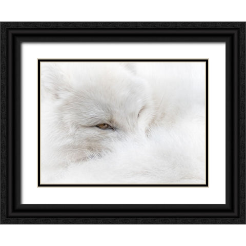 White on White Black Ornate Wood Framed Art Print with Double Matting by Parker, Kelley