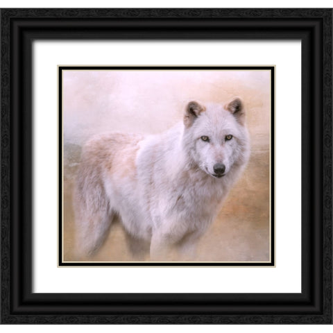 Wolf Quest Black Ornate Wood Framed Art Print with Double Matting by Parker, Kelley