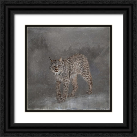 Ghost Cat Black Ornate Wood Framed Art Print with Double Matting by Parker, Kelley