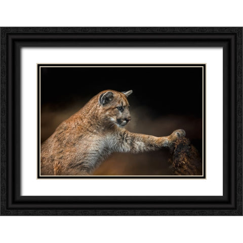 Attentive Observer Black Ornate Wood Framed Art Print with Double Matting by Parker, Kelley