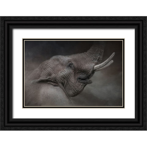 Rising Above Black Ornate Wood Framed Art Print with Double Matting by Parker, Kelley