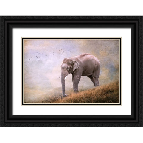 Silent Traveler Black Ornate Wood Framed Art Print with Double Matting by Parker, Kelley