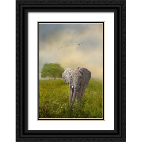 Solo Approach Black Ornate Wood Framed Art Print with Double Matting by Parker, Kelley