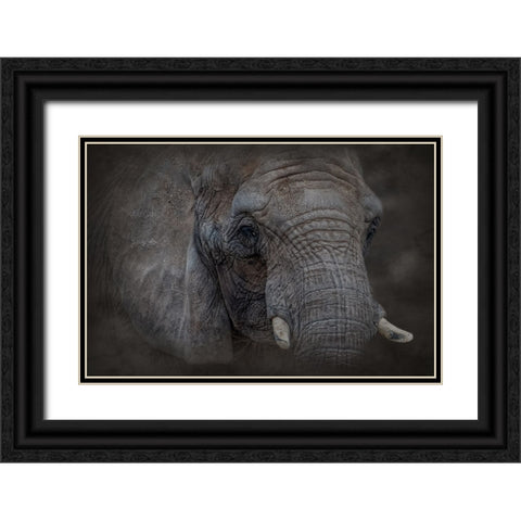 Textured Black Ornate Wood Framed Art Print with Double Matting by Parker, Kelley