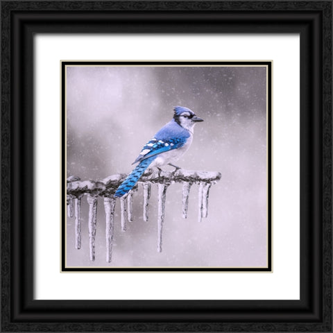 Cold Feet Black Ornate Wood Framed Art Print with Double Matting by Parker, Kelley