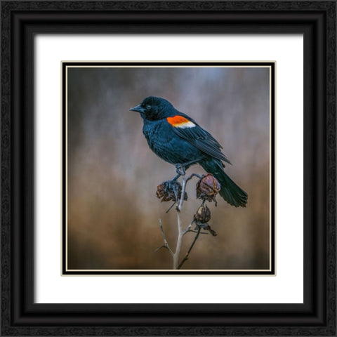 Bringer of Spring Black Ornate Wood Framed Art Print with Double Matting by Parker, Kelley