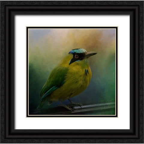 Colorful Charmer Black Ornate Wood Framed Art Print with Double Matting by Parker, Kelley