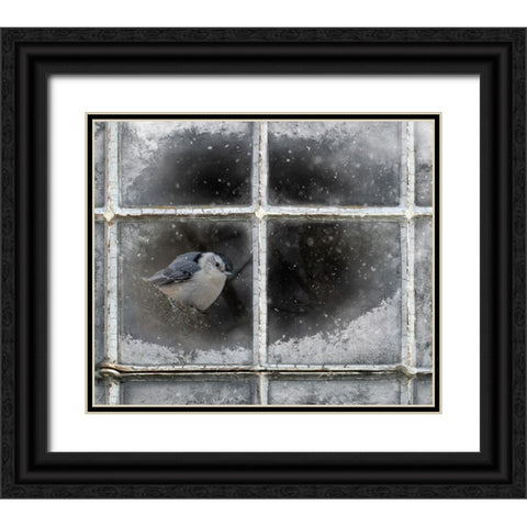 Frosty Black Ornate Wood Framed Art Print with Double Matting by Parker, Kelley