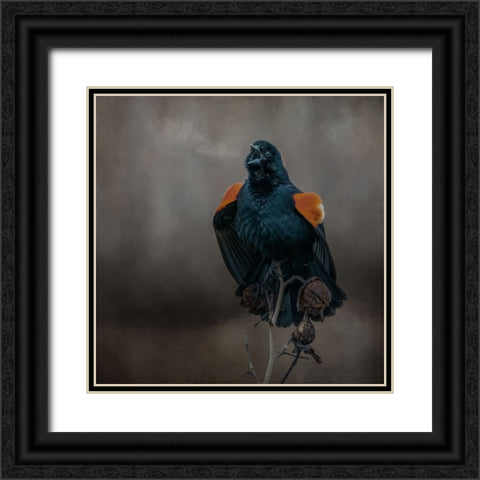 Bird Breath Black Ornate Wood Framed Art Print with Double Matting by Parker, Kelley