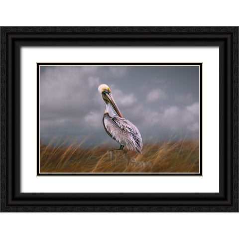 Pelican Way Black Ornate Wood Framed Art Print with Double Matting by Parker, Kelley