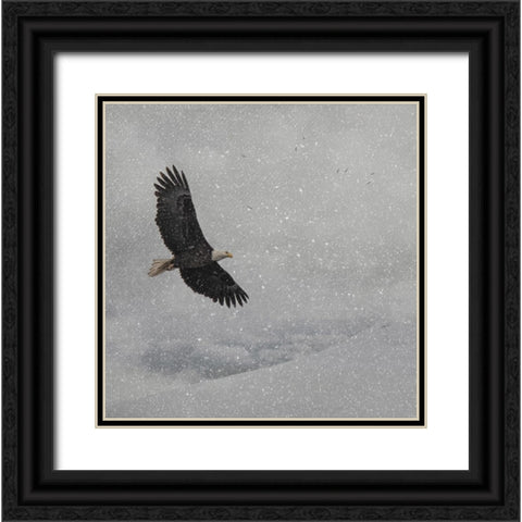 Peace on Earth Black Ornate Wood Framed Art Print with Double Matting by Parker, Kelley