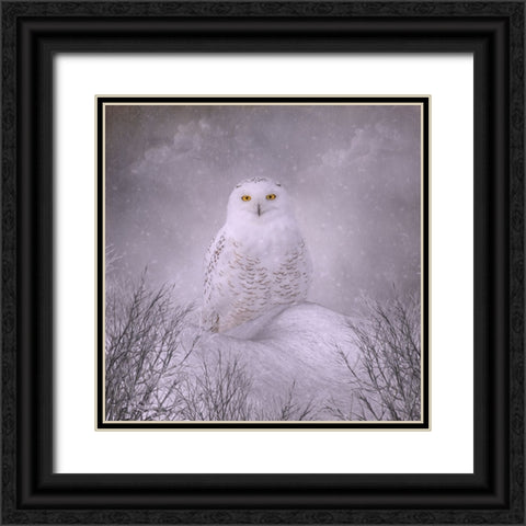 Winter Wonderland Black Ornate Wood Framed Art Print with Double Matting by Parker, Kelley