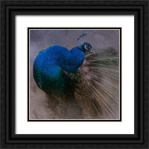 Natural Beauty Black Ornate Wood Framed Art Print with Double Matting by Parker, Kelley