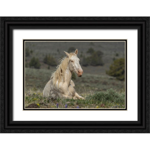 Survivor Black Ornate Wood Framed Art Print with Double Matting by McFerrin, Larry