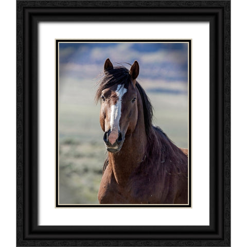 Choctaw Black Ornate Wood Framed Art Print with Double Matting by McFerrin, Larry