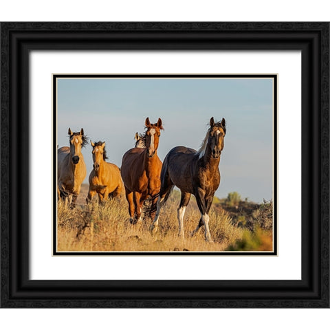 South Steens Mustangs Black Ornate Wood Framed Art Print with Double Matting by McFerrin, Larry