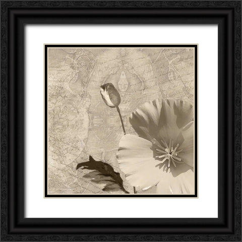Vintage Rose I Black Ornate Wood Framed Art Print with Double Matting by Wolk, Lisa