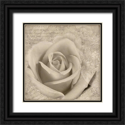 Vintage Rose II Black Ornate Wood Framed Art Print with Double Matting by Wolk, Lisa