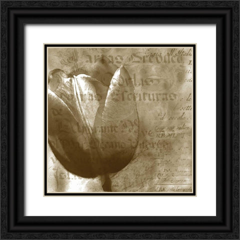 Tulip Black Ornate Wood Framed Art Print with Double Matting by Wolk, Lisa