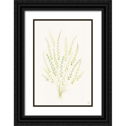 Dried Green Bundle Black Ornate Wood Framed Art Print with Double Matting by Lee, Judson