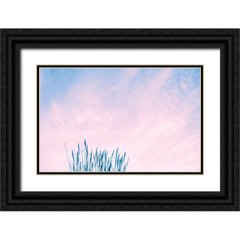 Millennial Pink Sea Grass Black Ornate Wood Framed Art Print with Double Matting by Lee, Judson