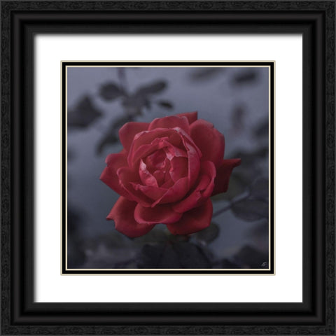 Red Rose Black Ornate Wood Framed Art Print with Double Matting by Lee, Judson