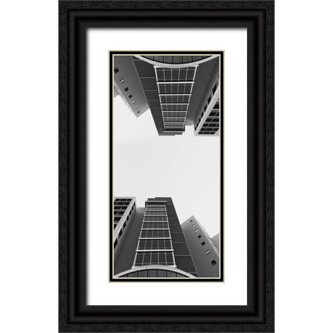 Timeless Elegance Black Ornate Wood Framed Art Print with Double Matting by Lee, Judson
