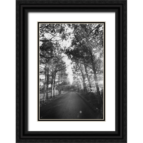 Country Road Black Ornate Wood Framed Art Print with Double Matting by Lee, Judson