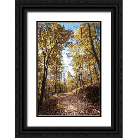 Golden Path Entrance Black Ornate Wood Framed Art Print with Double Matting by Lee, Judson