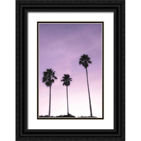 Palms Black Ornate Wood Framed Art Print with Double Matting by Lee, Judson