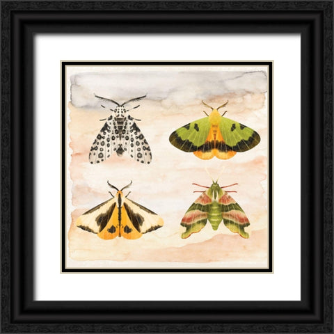 Little Wings Black Ornate Wood Framed Art Print with Double Matting by ND Art