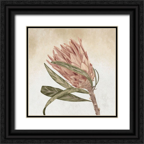 Braids and Bunches Black Ornate Wood Framed Art Print with Double Matting by ND Art