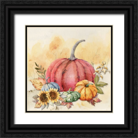 Harvest Pumpkins II Black Ornate Wood Framed Art Print with Double Matting by ND Art