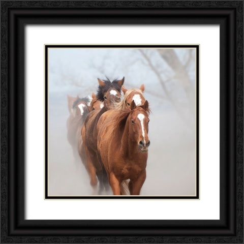Follow the Leader Black Ornate Wood Framed Art Print with Double Matting by PBurchettPhoto