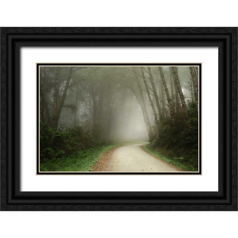 Follow the Light Black Ornate Wood Framed Art Print with Double Matting by Murdock, Ramona