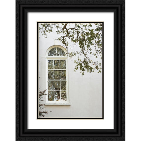 Charleston Garden Windows II Black Ornate Wood Framed Art Print with Double Matting by Murdock, Ramona