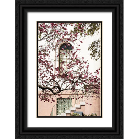 Charleston Spring Blossoms Black Ornate Wood Framed Art Print with Double Matting by Murdock, Ramona