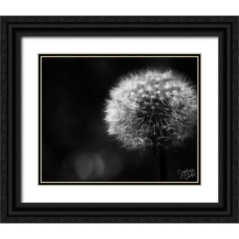 Dandelion Black Ornate Wood Framed Art Print with Double Matting by Dicks, Stephanie