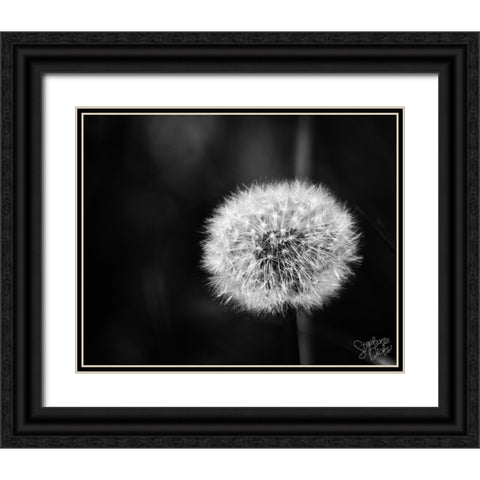 Dandelion II Black Ornate Wood Framed Art Print with Double Matting by Dicks, Stephanie