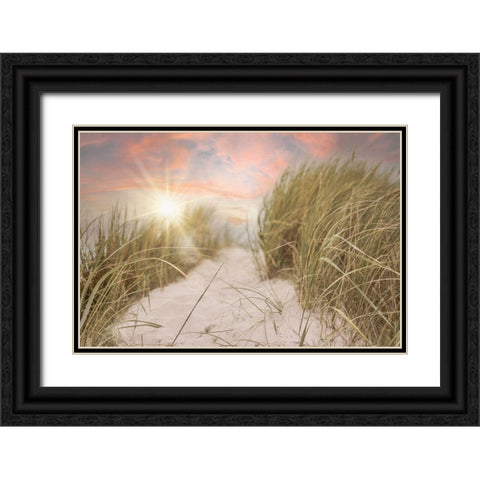 Beach Grass and Sun Black Ornate Wood Framed Art Print with Double Matting by Moss, Tara