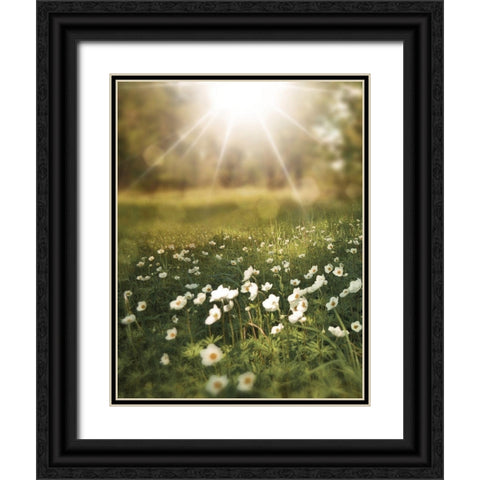 Field and Sun Black Ornate Wood Framed Art Print with Double Matting by Moss, Tara