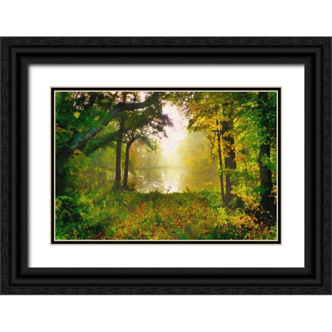 Morning Mist Black Ornate Wood Framed Art Print with Double Matting by Dundon, Denise