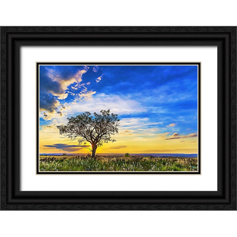 Solitary Sunset Black Ornate Wood Framed Art Print with Double Matting by Dundon, Denise