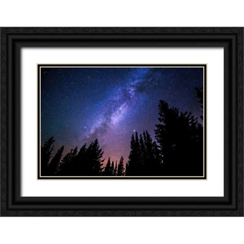 Conifers and Milky Way Black Ornate Wood Framed Art Print with Double Matting by Dundon, Denise