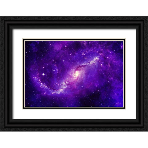 Spiral Arms Black Ornate Wood Framed Art Print with Double Matting by Dundon, Denise