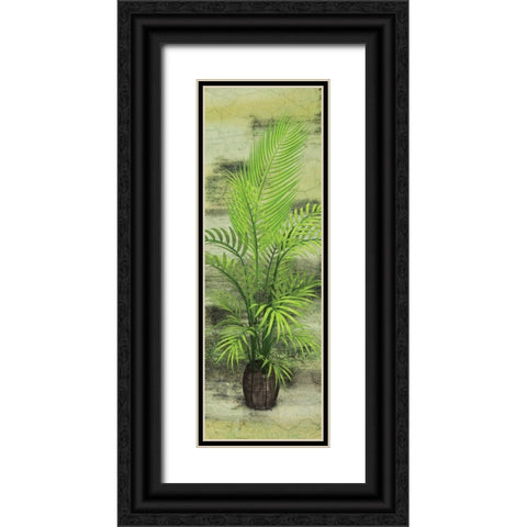 Palm Tree Black Ornate Wood Framed Art Print with Double Matting by Burney, Yvonne Coleman