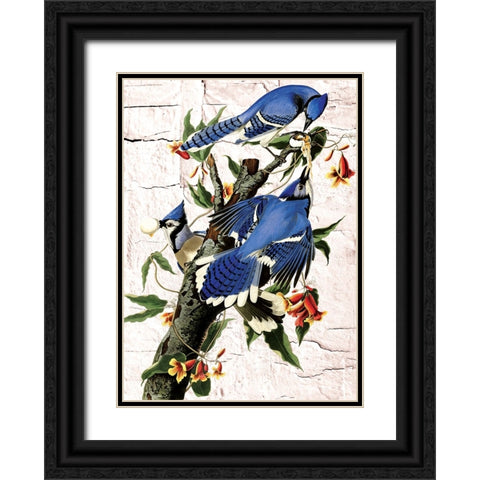 Blue Jays Black Ornate Wood Framed Art Print with Double Matting by Burney, Yvonne Coleman