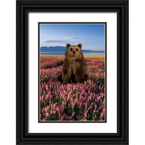 Bear in the Fields Black Ornate Wood Framed Art Print with Double Matting by Burney, Yvonne Coleman