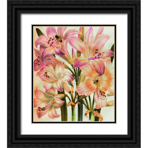 Morning Glory Black Ornate Wood Framed Art Print with Double Matting by Burney, Yvonne Coleman